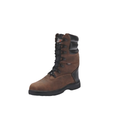 Cold-proof safety shoes